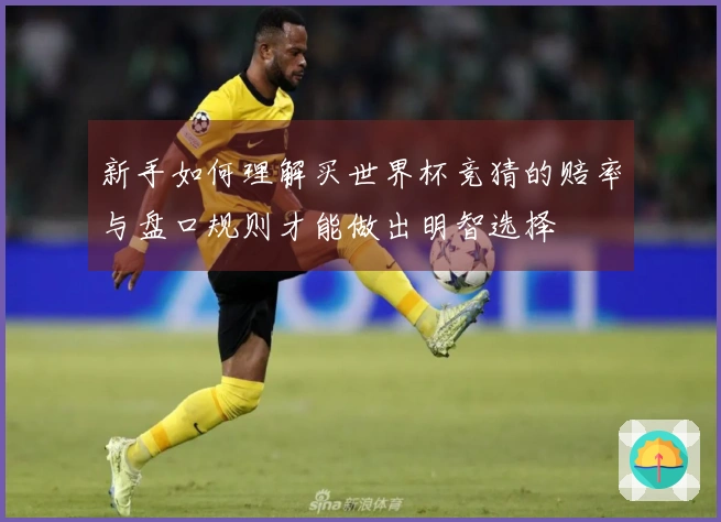 新手如何理解买世界杯竞猜的赔率与盘口规则才能做出明智选择