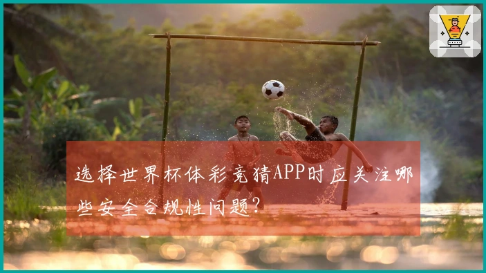 选择世界杯体彩竞猜APP时应关注哪些安全合规性问题？
