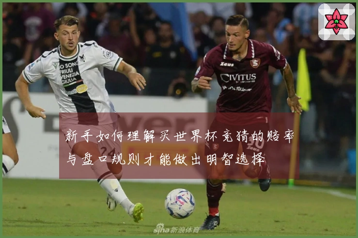新手如何理解买世界杯竞猜的赔率与盘口规则才能做出明智选择