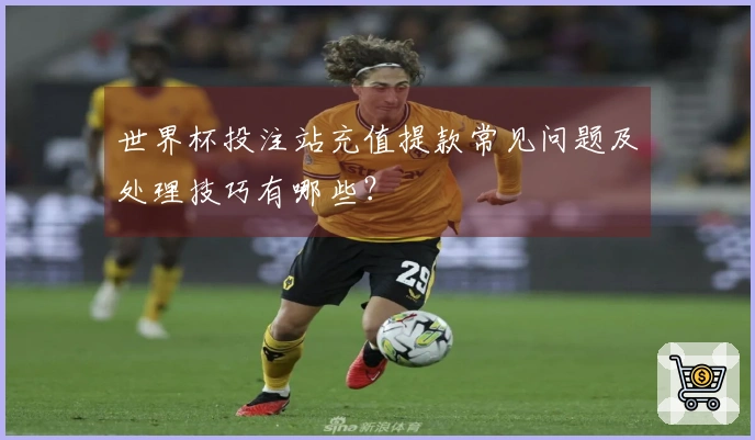 世界杯投注站充值提款常见问题及处理技巧有哪些？