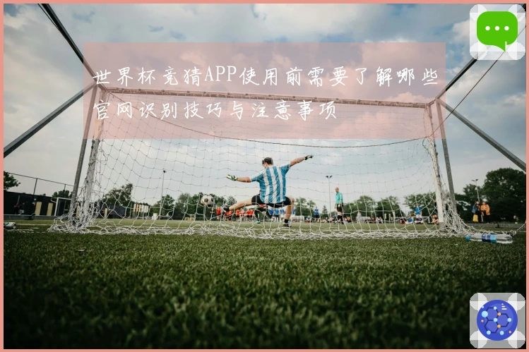 世界杯竞猜APP使用前需要了解哪些官网识别技巧与注意事项