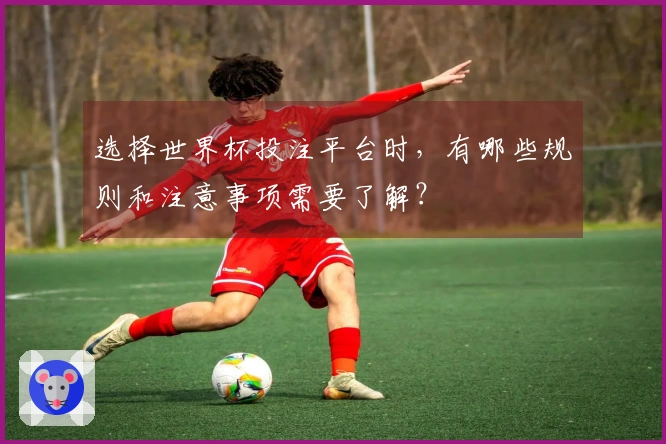 选择世界杯投注平台时，有哪些规则和注意事项需要了解？