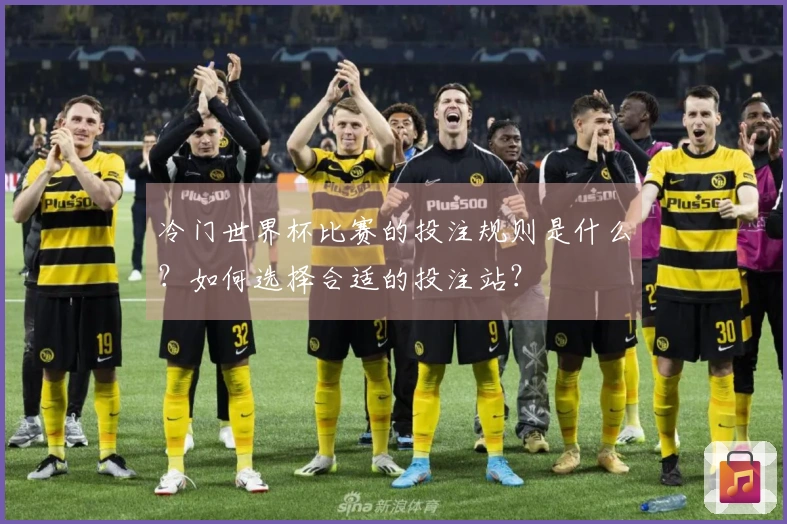 冷门世界杯比赛的投注规则是什么？如何选择合适的投注站？
