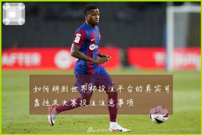 如何辨别世界杯投注平台的真实可靠性及决赛投注注意事项