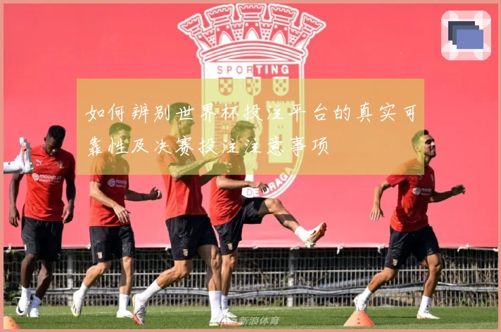 如何辨别世界杯投注平台的真实可靠性及决赛投注注意事项